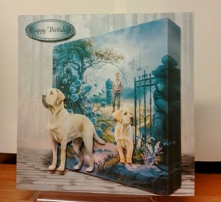 dog walk by COLETTE MORRIS