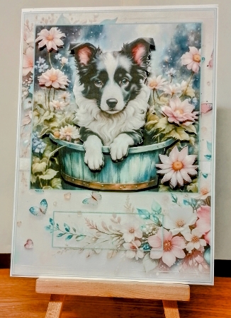 Border Collie Puppy in a Bucket  A5 Card Front and Decoupage by COLETTE MORRIS