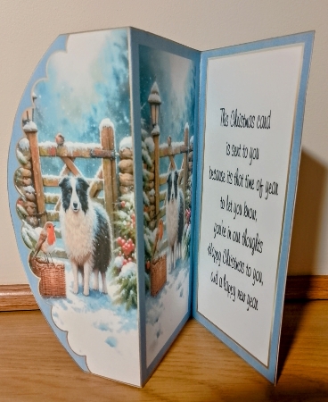 trifold sheepdog and money wallet by COLETTE MORRIS