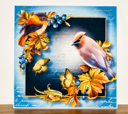 Gorgeous Birds Bumper Kit 1 Featured Gallery Photo