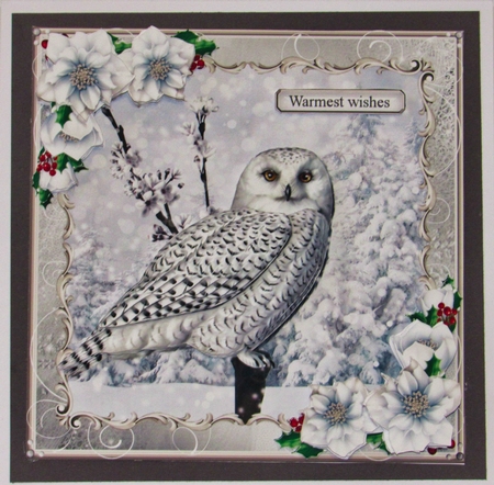 Snow Owl by Colin Bowers