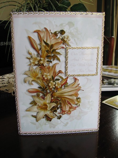 Sympathy by Colleen Willcox