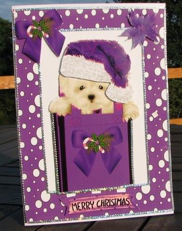 Cute Little Westie, in Purple Santa Hat by Colleen Willcox