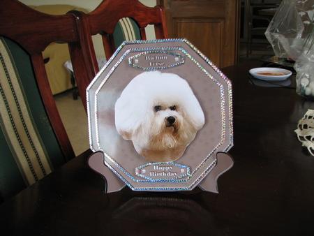 Bichon Frise Plaque & Stand by Colleen Willcox