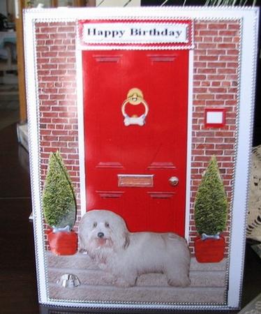 Coton De Tulear Dog with a Red Door by Colleen Willcox