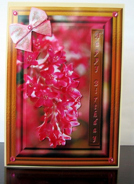 Flowering Spring by Colleen Willcox