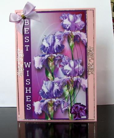 Raining Flowers Iris by Colleen Willcox