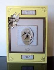Coton De Tulear Portrait 3D Decoupage by Colleen Willcox