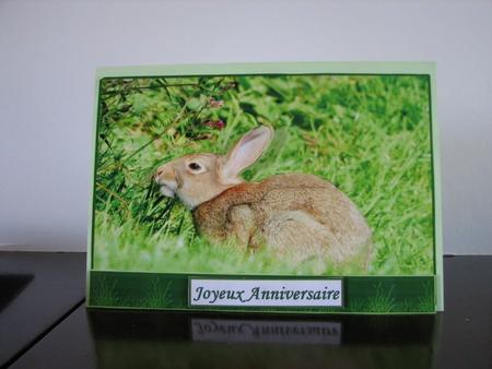 Rabbit Pyramid by Colleen Willcox