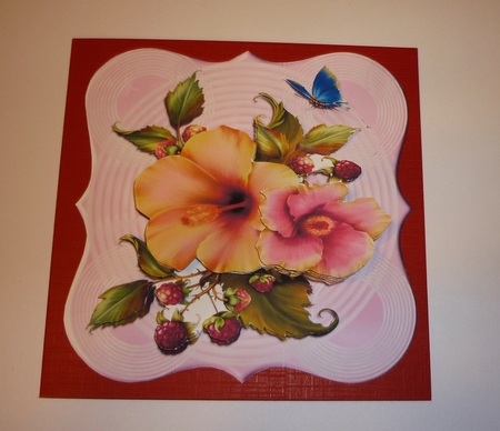 Hibiscus and Berries Mini Kit by Cornelia Orgahs
