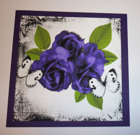 Beautiful Purple Roses with White Butterflies 8x8 Mini Kit by Cornelia Orgahs