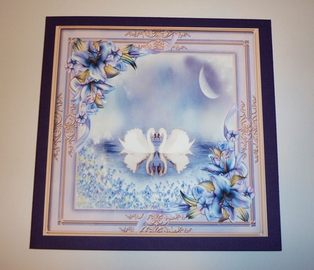 Beautiful Swans in a Peach and Lilac Frame  by Cornelia Orgahs