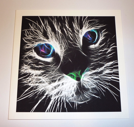 Because We Love Furrys - Fantasy Cats 1 Pyramid + Insert+tag by Cornelia Orgahs
