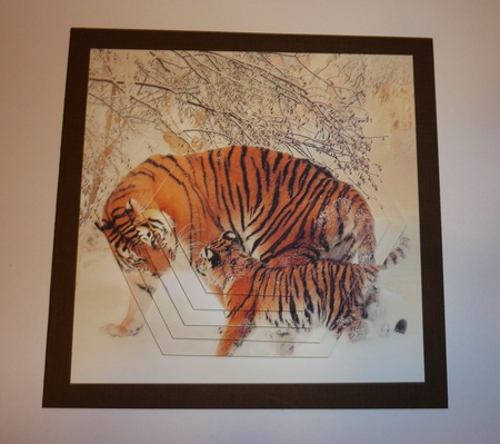 Because We Love Furries - Gorgeous Tigers in the Snow + Tag+ by Cornelia Orgahs