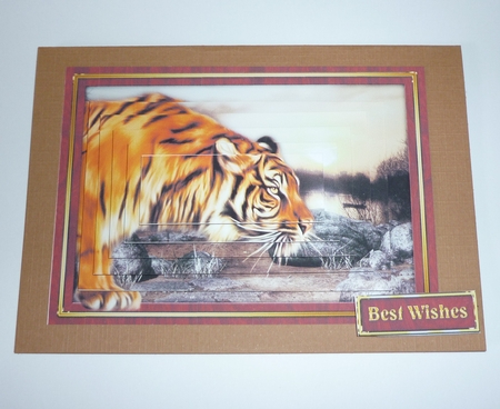 Tiger Pyramage Mini Kit by Cornelia Orgahs