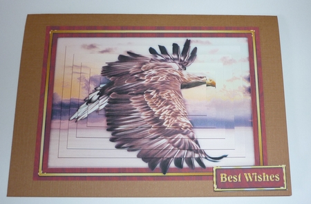 Eagle Pyramage Mini Kit by Cornelia Orgahs