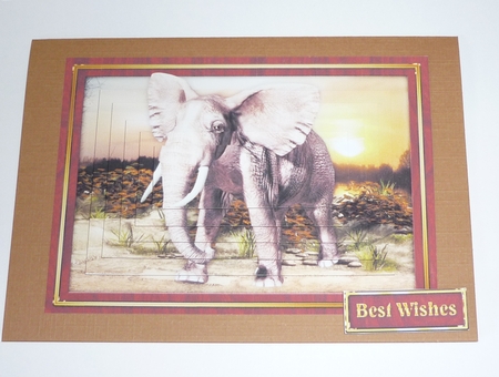 Elephant Pyramage Mini KIt by Cornelia Orgahs