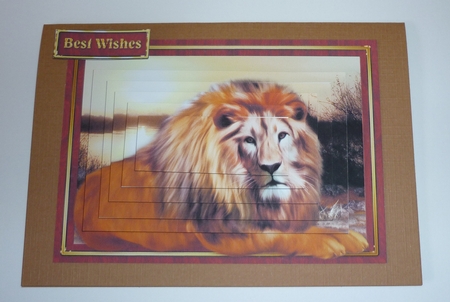 Lion Pyramage Mini Kit by Cornelia Orgahs