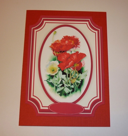 Beautiful Poppies in a Oval Frame  by Cornelia Orgahs