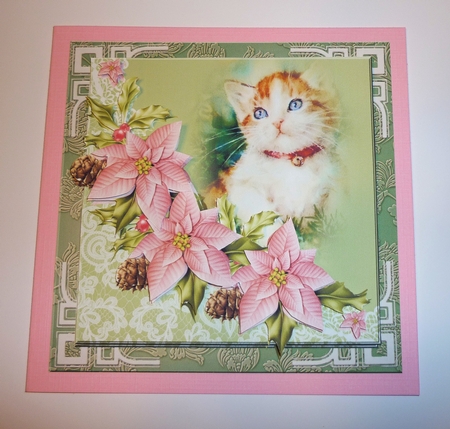 Cat and Poinsettias by Cornelia Orgahs