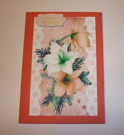 Pretty peach and white Amaryllis on lace with bow A5 by Cornelia Orgahs