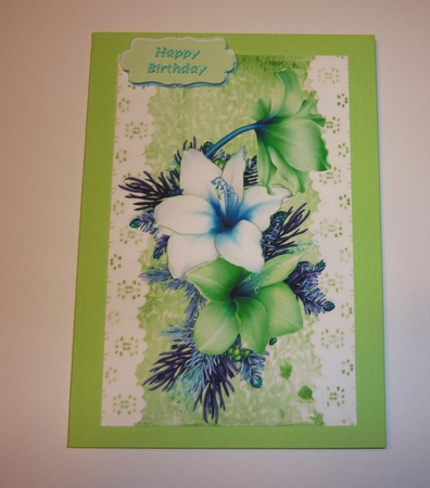 Pretty green and white Amaryllis on lace with bow A5 by Cornelia Orgahs