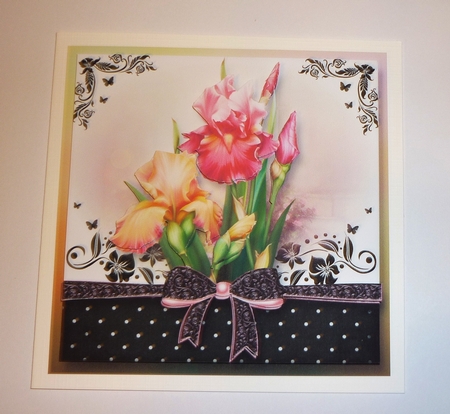 The Gift Of The Blush Iris 8x8 by Cornelia Orgahs