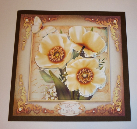 Vintage Cream Poppies for All Occasions Card Mini Kit by Cornelia Orgahs