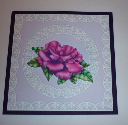 Heritage Roses by Cornelia Orgahs