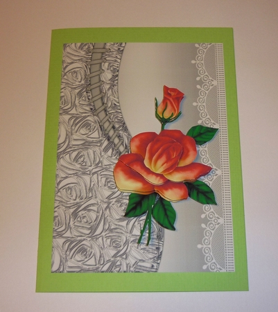 A4  8 Colors Background Topper CU by Cornelia Orgahs