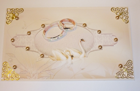 Wedding rings by Cornelia Orgahs