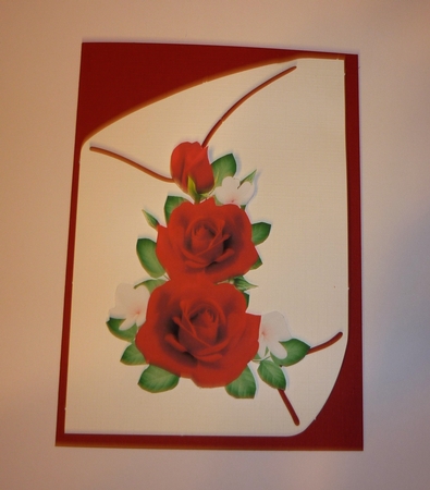 Rose Cluster 7 by Cornelia Orgahs