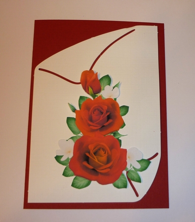Rose Cluster 8 by Cornelia Orgahs