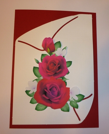 Rose Cluster 9 by Cornelia Orgahs