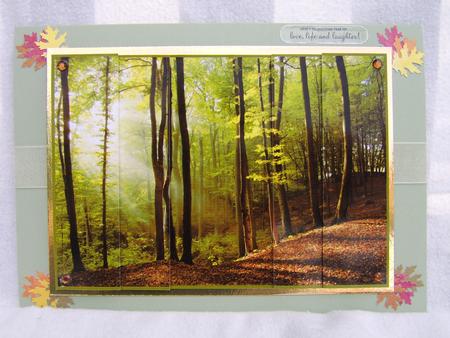 Sunshine in the Woods Side Stacker by Corrine Penhale