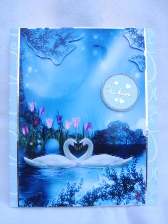 Beautiful Swan Lake Anniversary/engagement by Corrine Penhale