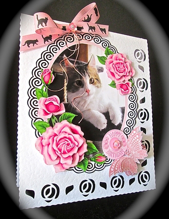 Charlie is a Darling by Cynthia Massey