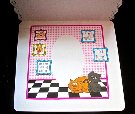 Crazy Cat Lady - Insert by Cynthia Massey