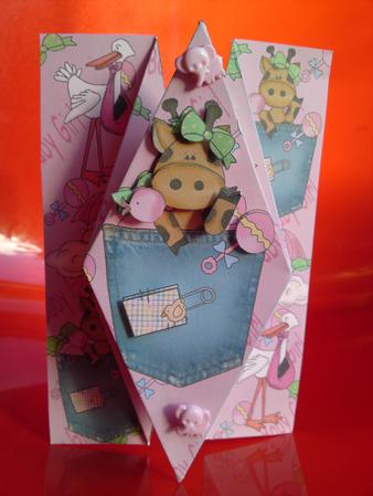 Diamond Fold New Baby Girl by Cynthia Massey