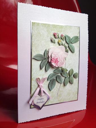 Redoute Rose in Pink by Cynthia Massey