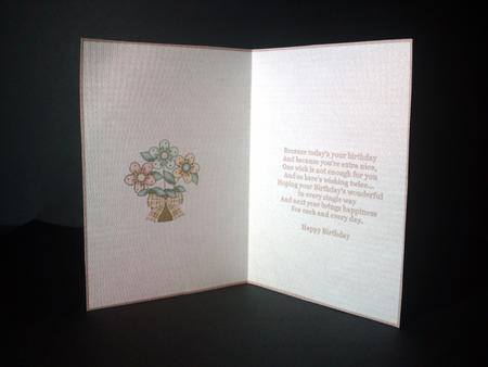 Pretty Flowers Insert 2 by Cynthia Massey