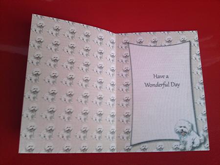 Bichon Frise Insert with Message (cream) by Cynthia Massey