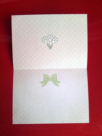 Pretty Soft Dots Insert A5 Landscape by Cynthia Massey