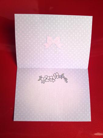 Pretty Soft Dots Insert A5 Landscape by Cynthia Massey