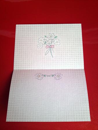 Pretty Gingham Insert Landscape Insert by Cynthia Massey
