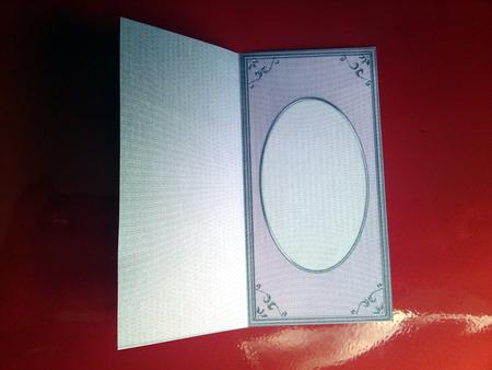 Dl 'metallic Frame Embossed' Card Front or Insert by Cynthia Massey