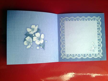 Apple Blossom Matching Insert Square Landscape by Cynthia Massey