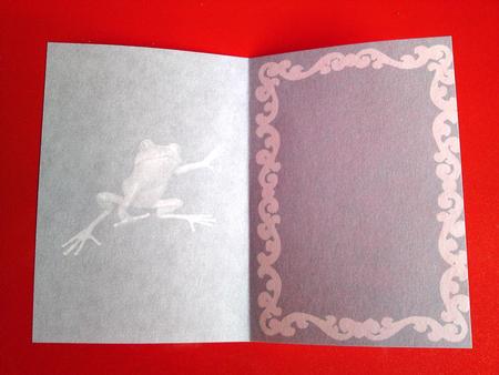 Hoppy the Frog Insert by Cynthia Massey