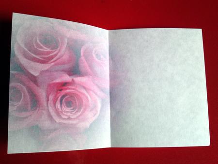 Coral Faded Rose Vellum or Insert by Cynthia Massey
