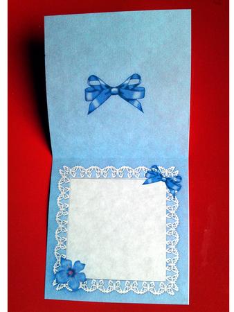 Pretty Viola Matching Insert Square Landscape by Cynthia Massey
